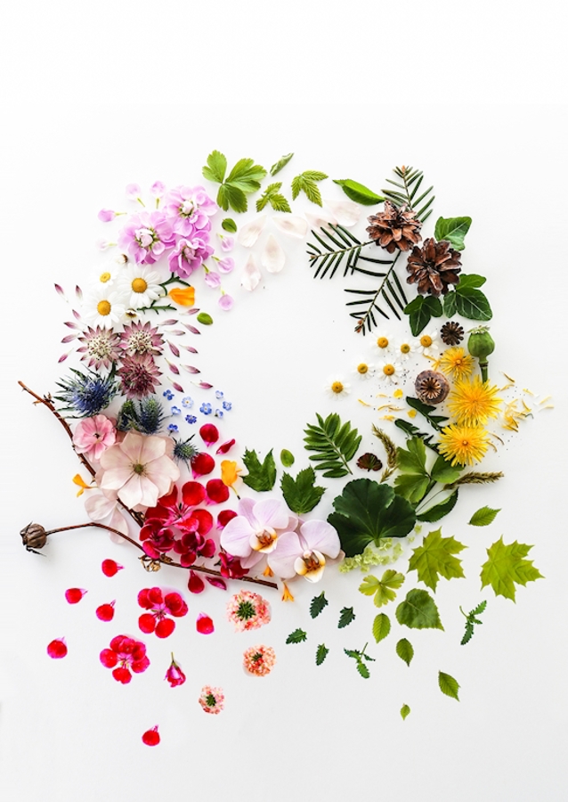 De kroon van de bloem