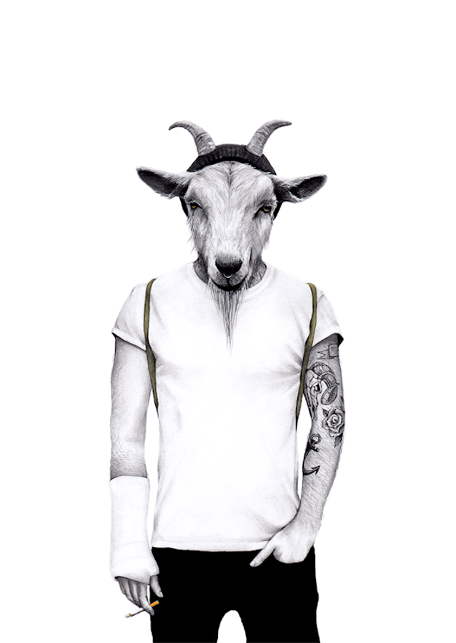 Hipster goat