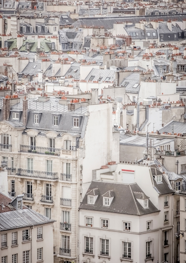 Rooftops in Paris