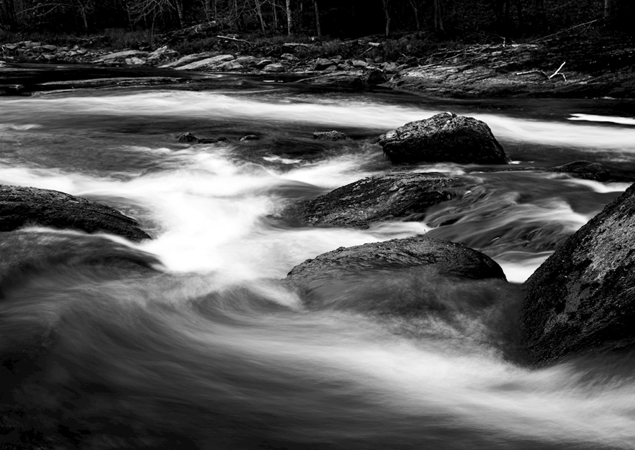 Woda przepływa przez las