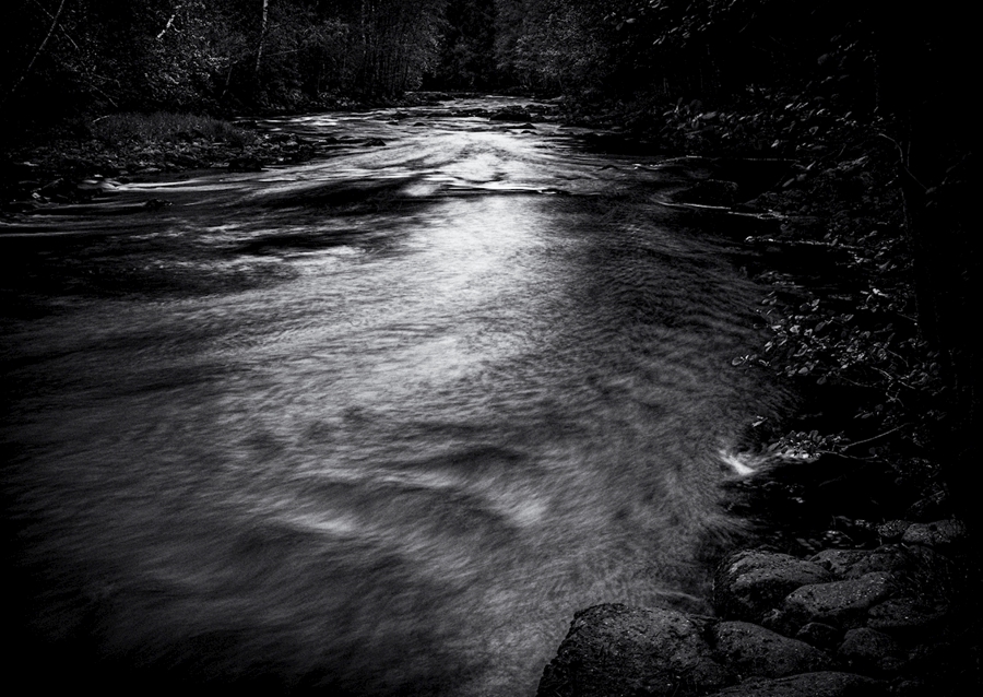 Woda przepływa przez las 4