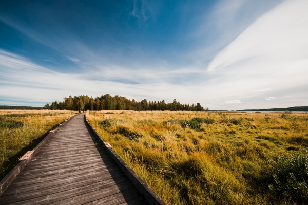 Poster: Stornäset på Alnö - Jesper Nordström