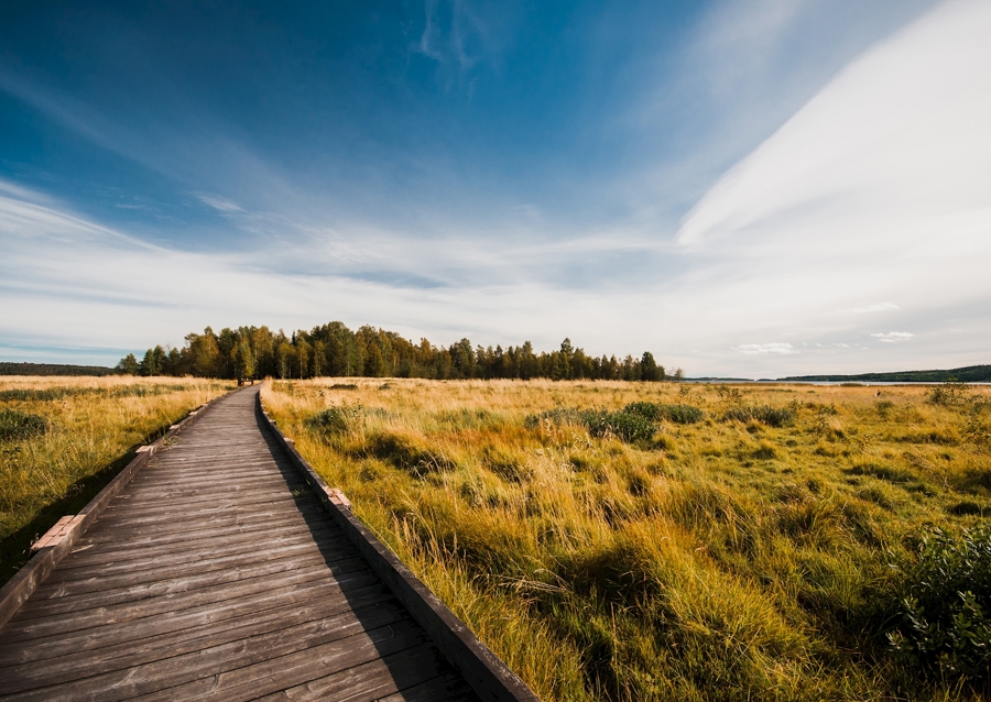 Stornäset på Alnö