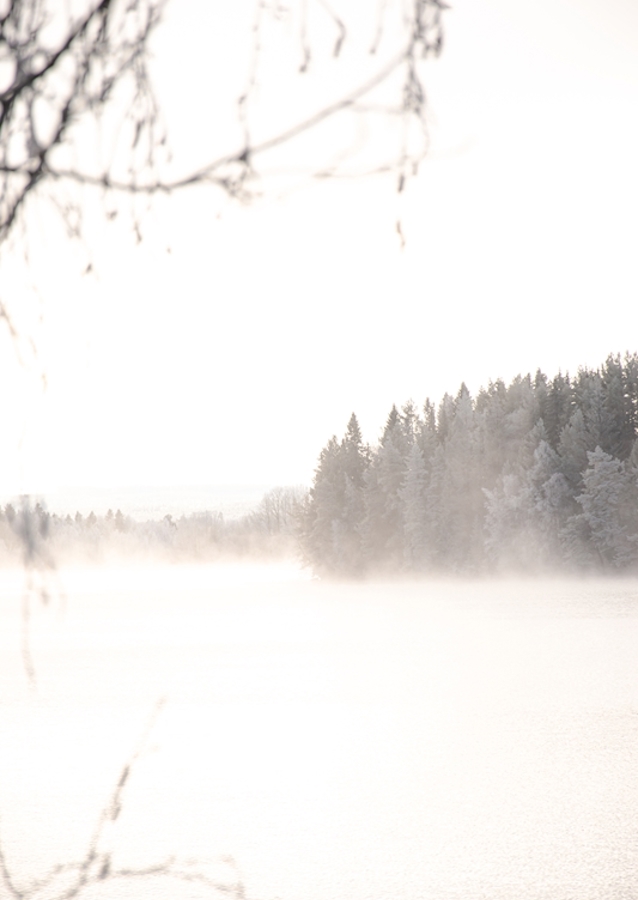 Cuando el hielo se asiente