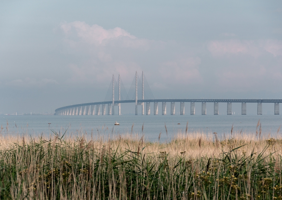 Letní ráno na Mostě