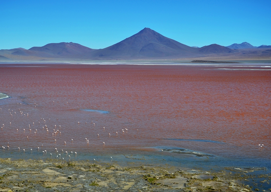 Rødehavet i Bolivia