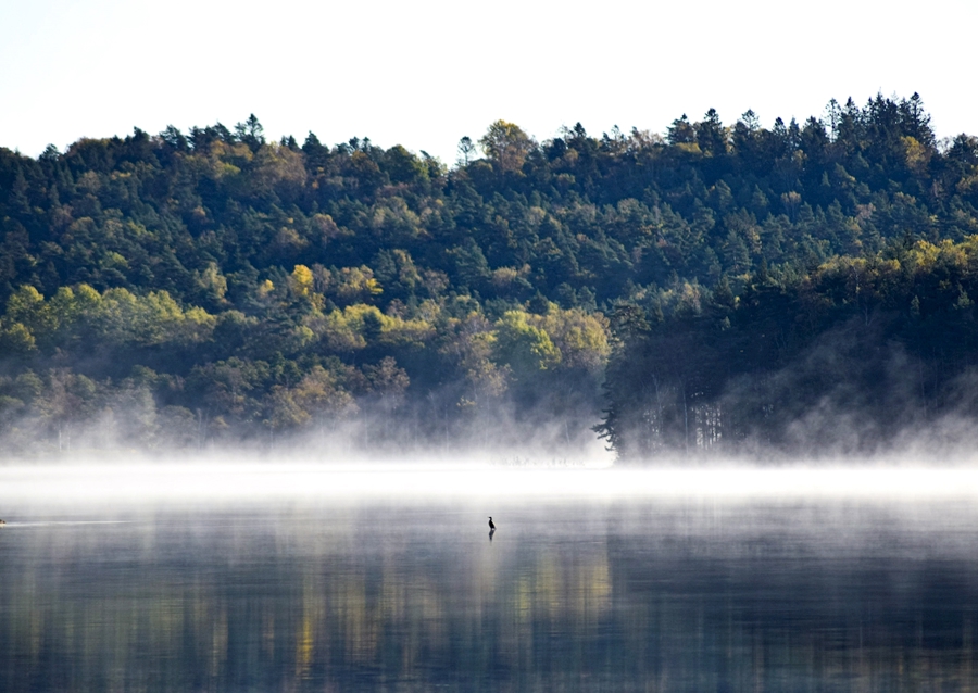Stand alone su Smoking foglake