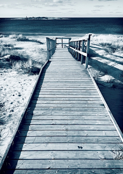 Poster: Stairs to water - Fancy Frank