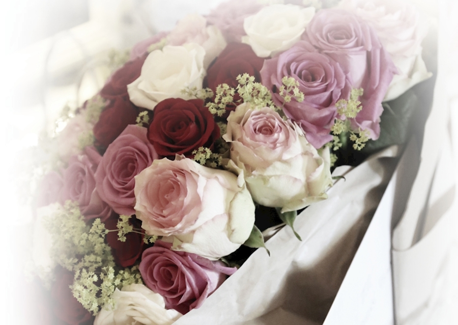 RŮŽE mému miláčkovi