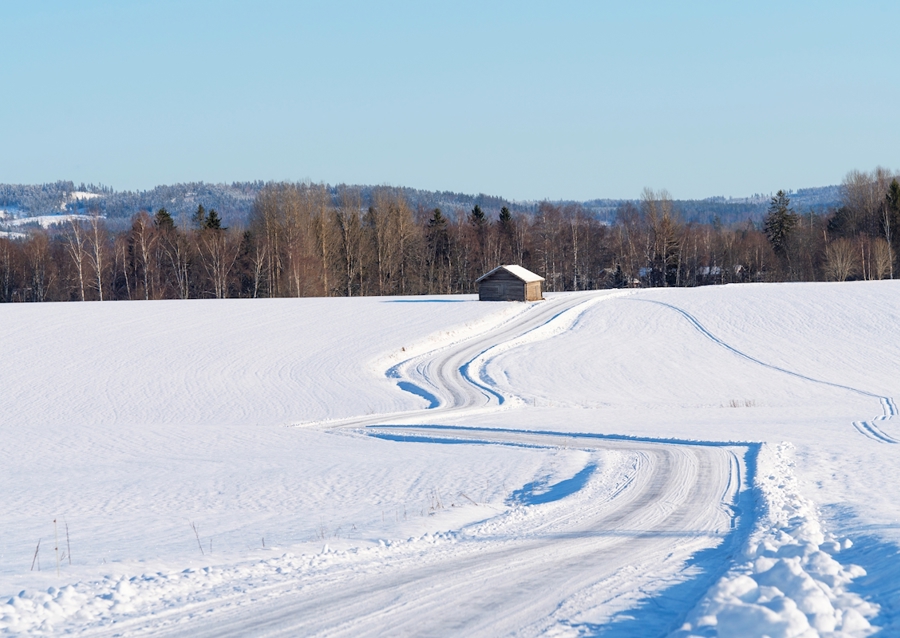 Winding winter road