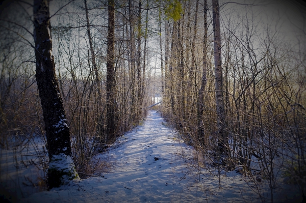 Poster: vägen - Mitsy Morel 