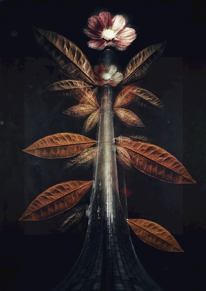 Poster: Planter - Pierre Eriksson