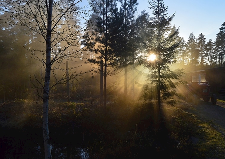 Soumrak u pece na dřevěné uhlí