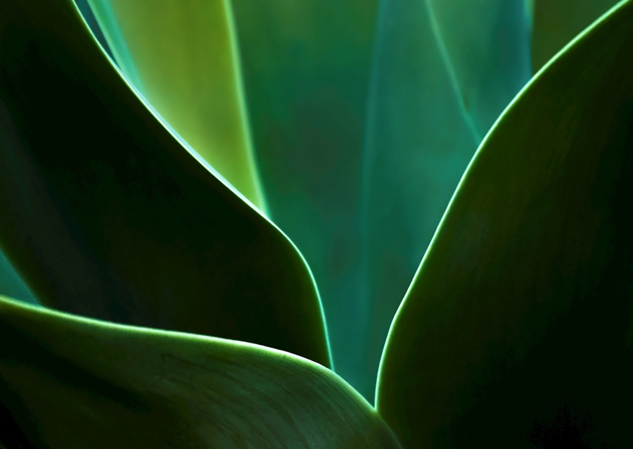 A természet ritmusa III