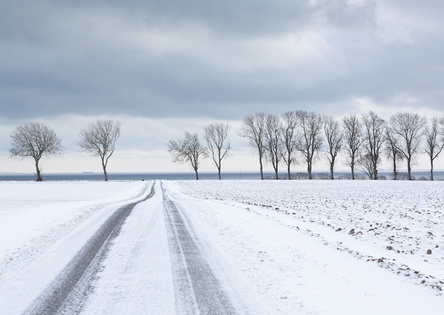 Snowy road towards the sea