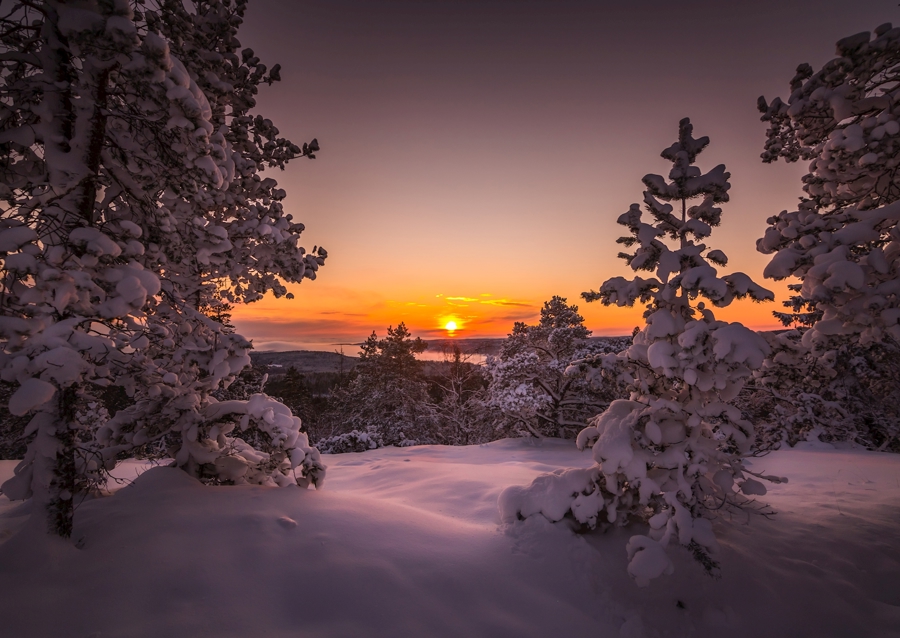 Poslední paprsky dne