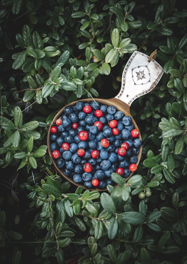 Kåsa con frutos rojos
