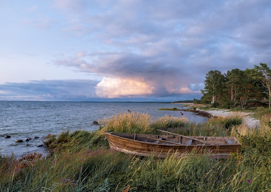 Old boat at the coast