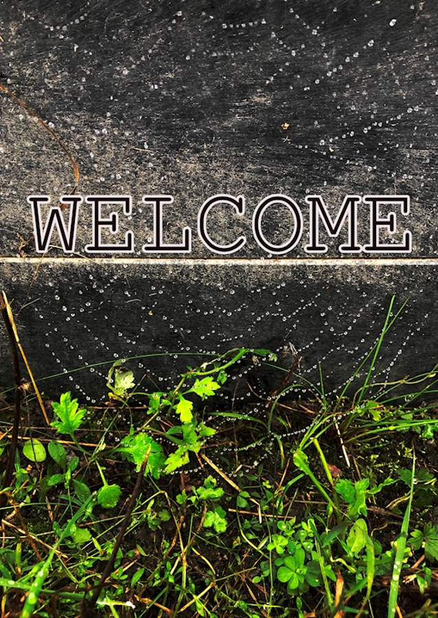 Welcome visitor