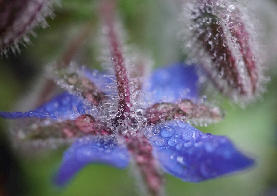 V blízkosti deště