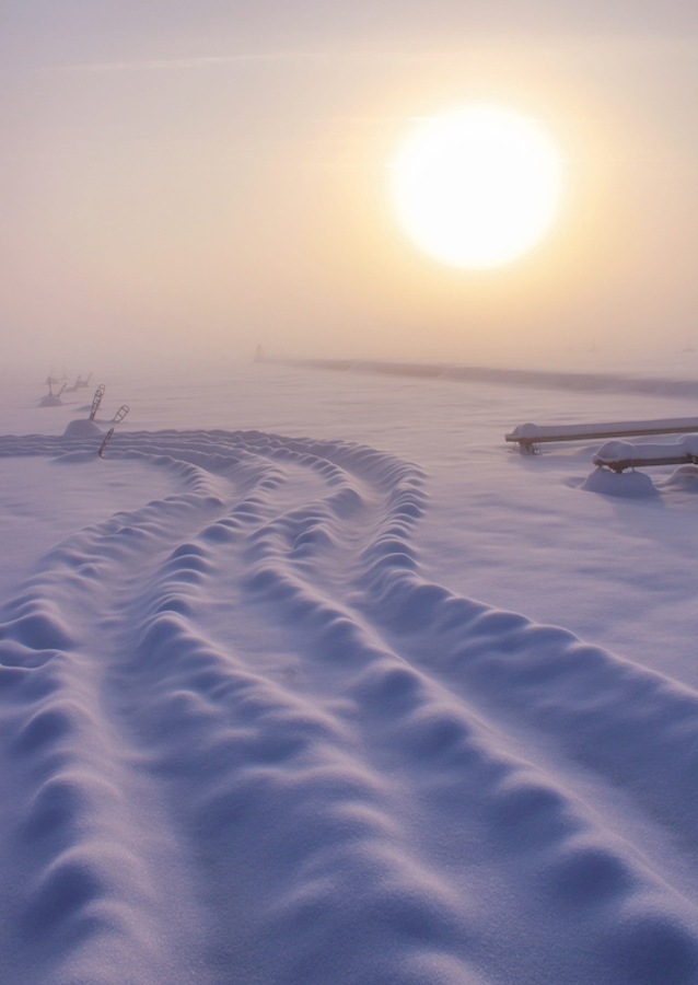Mlhavý mrazivý den