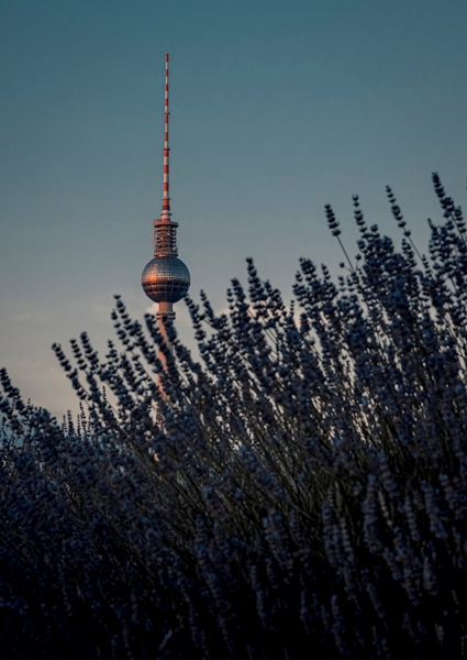 Poster: Lavendelturm - Manuel Kapunkt