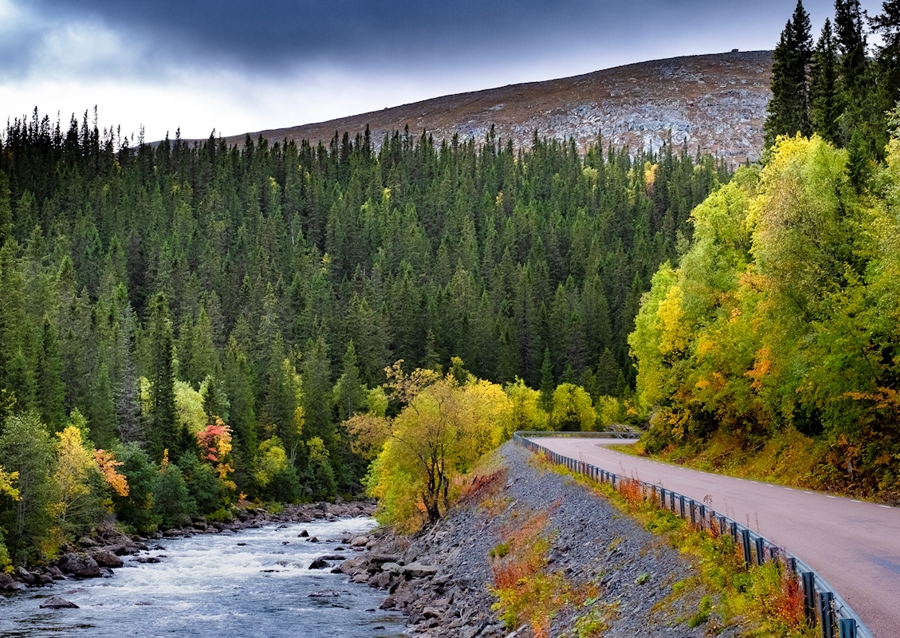 Mountain road in autumn garb.