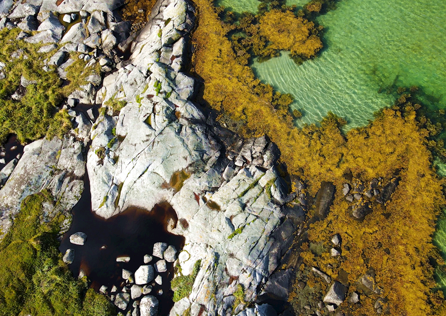 Costa delle Lofoten (3)