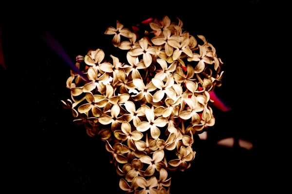 Poster: La lumière dans les ténèbres. - Roger Svensson