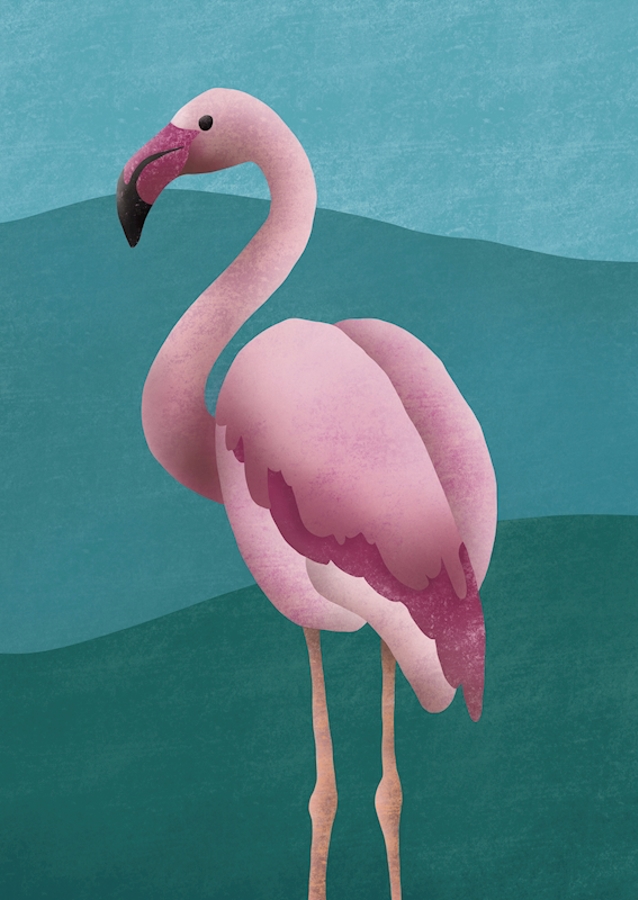 Flamingo 