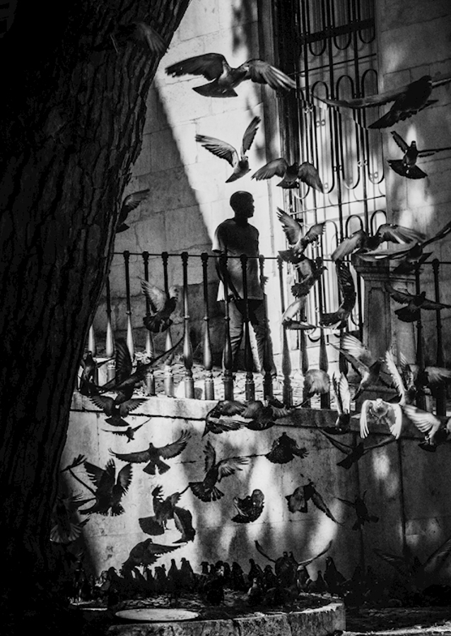 Praça da Figueira, Lisabon 