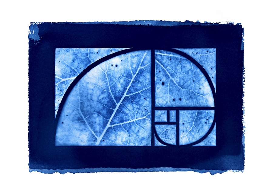 Cyanotopie #8 Goldener Schnitt