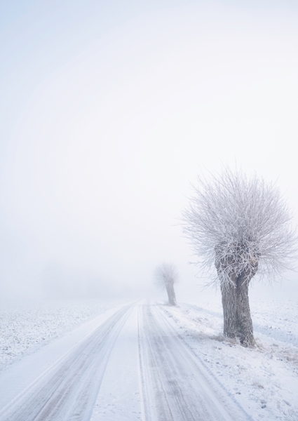 Poster: Vinter på Österlen - Ewa Bladh