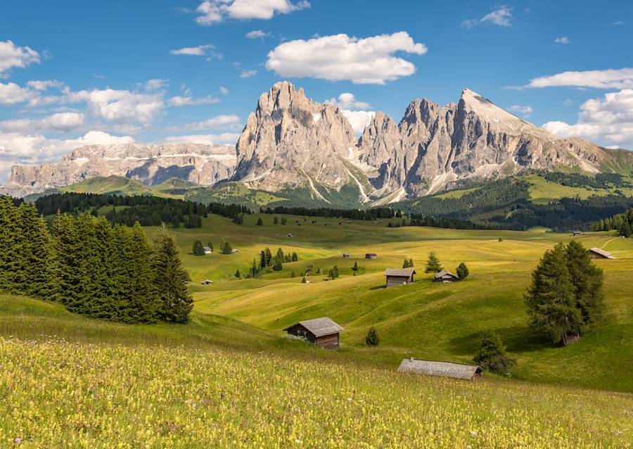 Summer on Alpe di Siusi