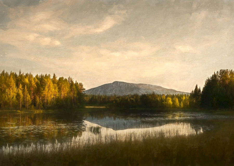 Sonfjällets réflexion