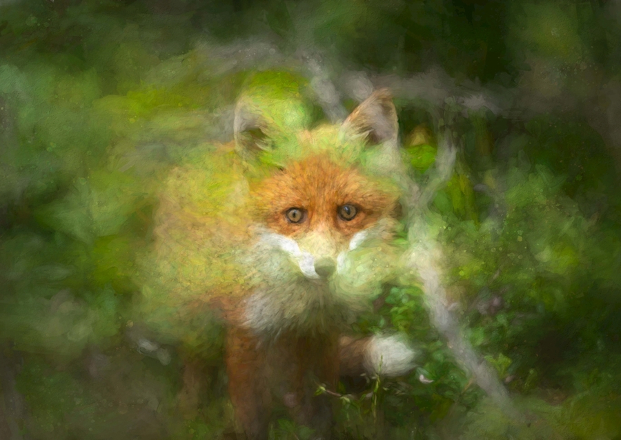 Der versteckte Fuchs