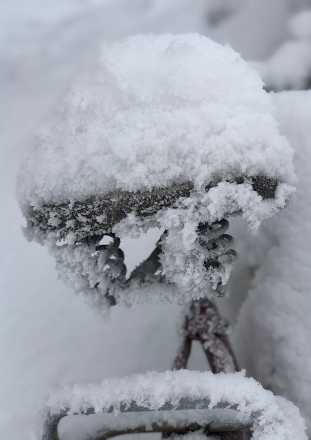 Sela fria na Suécia