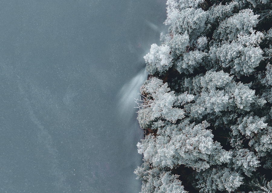 Voda se setkává s lesem