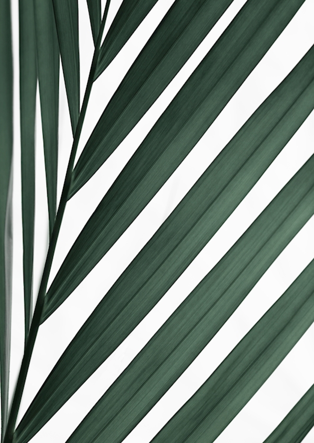 Grafisch Palmblad 3
