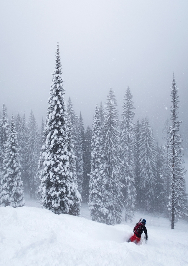Skiing in a winter wonderland