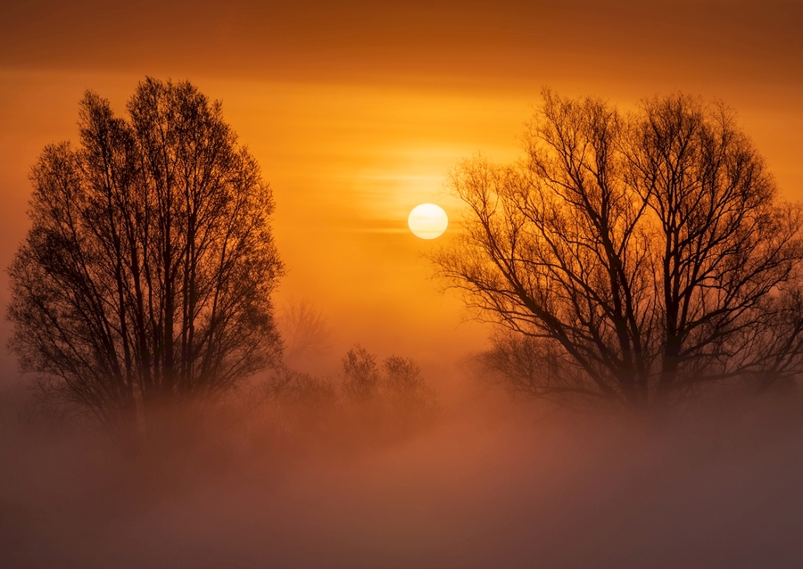 Sonnenaufgang im Nebel