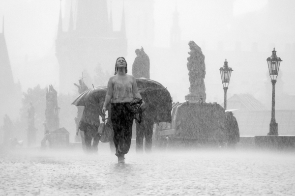 Poster: Let it rain! - Peter Nilsson