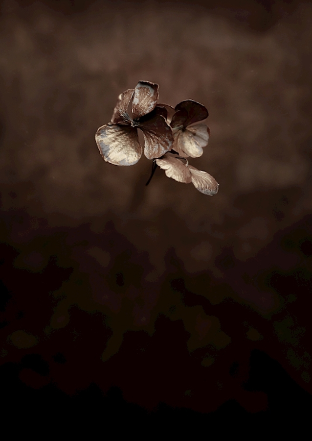 A kevesebb néha több