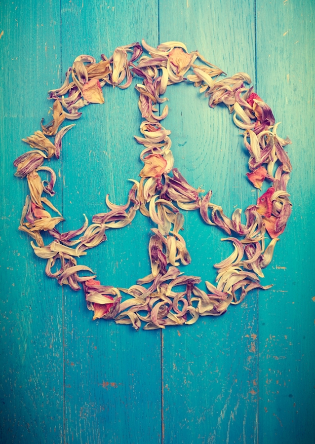 Vše, co potřebujeme, je mír