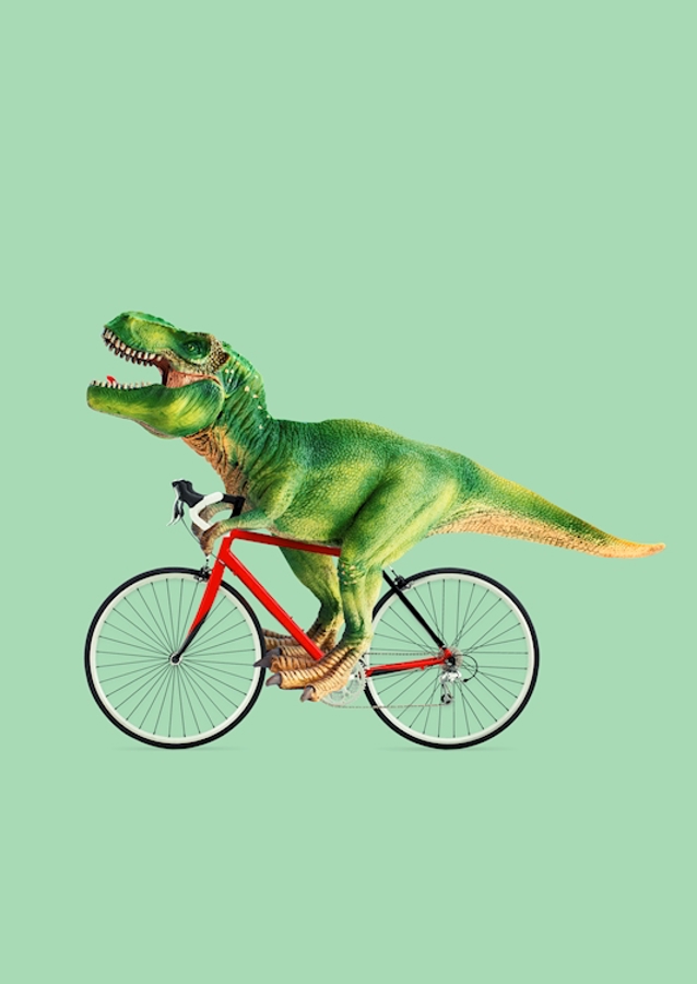 Dino Fahrrad