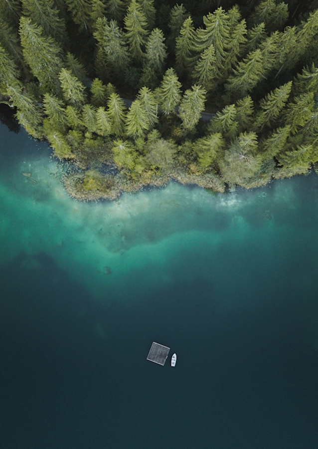 Wald am See von oben