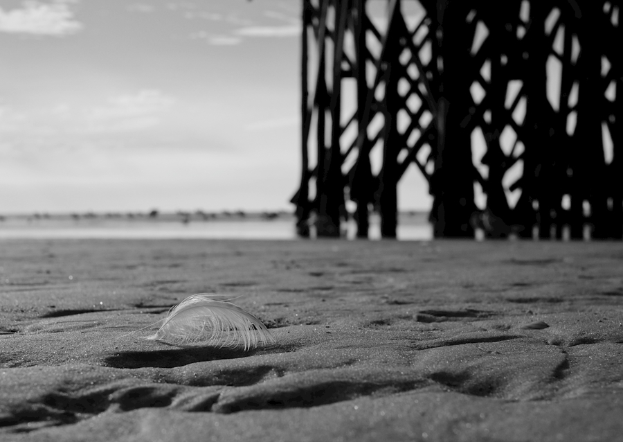 Pramen před hromadovým obydlím