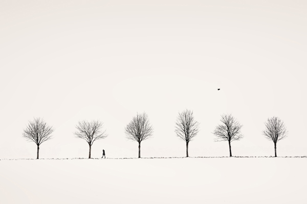 Poster: Aveny - Lena Weisbek