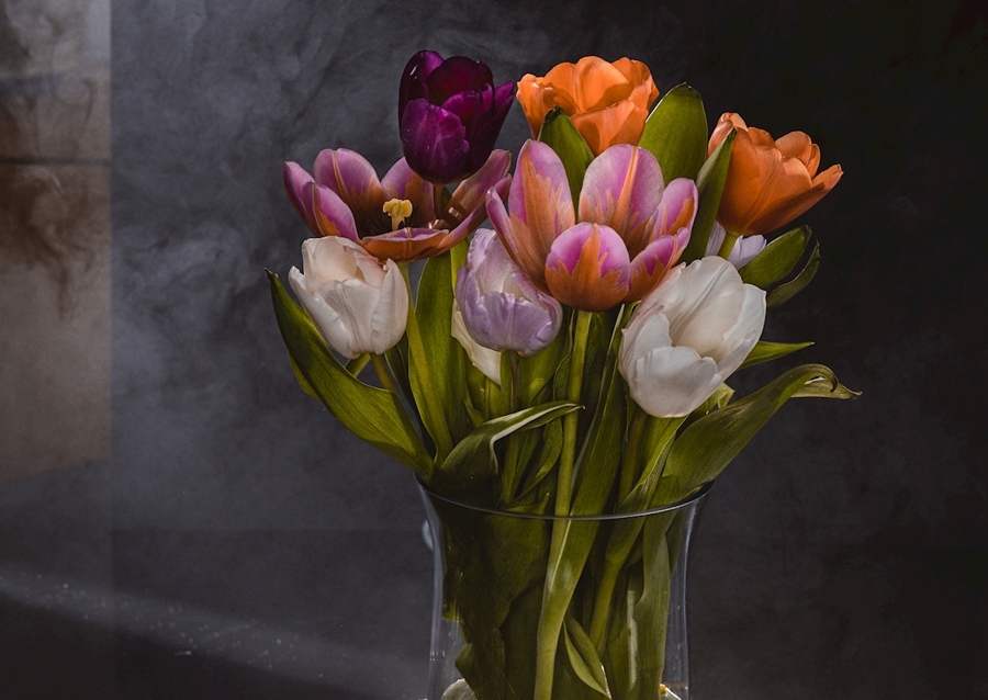 V mlze kytice tulipánů