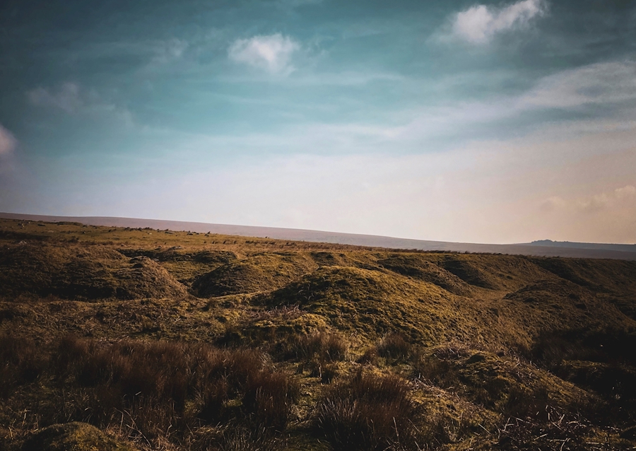 Dartmoor 2022 II